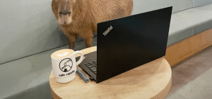 60컷이상은돈줘라